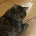 catertheoneandonly