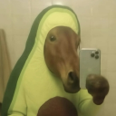 avatar Bơjack Horseman