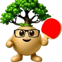 bonsaizocker