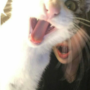 aitanalagoat