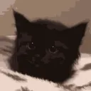 kakeyt