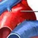 avatar 乂圍事家族乂ф罪愛kokona♧松岡豬人♧