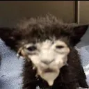 Аватар starwipe