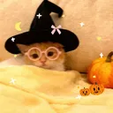 leprechita