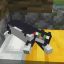 kishrax
