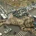 uyae