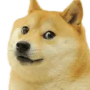 tlytbyzstststhwmdhk2017