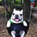 Аватар miller.ru