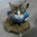pkquell