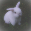 avatar grace