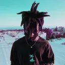 palmparadise6330