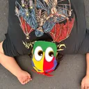 shookspinvso