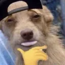 dtbsleeveapexbloodhound2712
