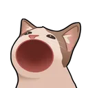deroace