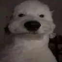 fzke