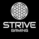 mr_str1ve