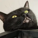 e7en_