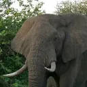 enorsu's personal website & blog