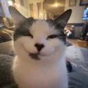 mhoox