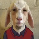 rabbied