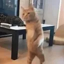 osrsmouse