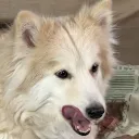 andyishereboi