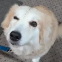 andyishereboi
