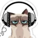 monkeygein2