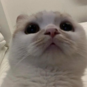 avatar sakizinha pescoço peladœ