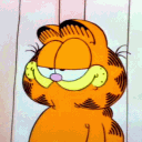 avatar Garfield
