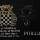 pitbullrg7