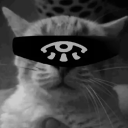 avatar literalcat