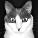 avatar evil schloingus