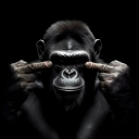 avatar Elleira Dorn / Sabrina