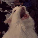 mason02lukas#2813's avatar