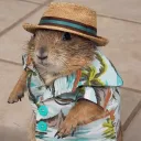 mystic_boomer