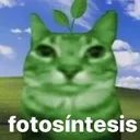 toni3castro