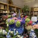 avatar ˚       𝙂𝙞𝙫𝙚𝙢𝙚𝙞𝙖𝙠𝙞𝙨𝙨