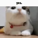vladz._.