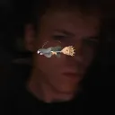 _scono_