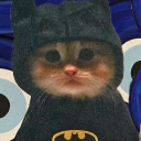 avatar 𝓛𝓲𝓵𝓢𝓾𝓹𝓮𝓻ツ 🦧