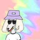 megapoodle
