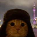 avatar kasu