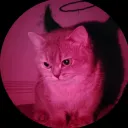 adn_69420 avatar