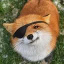 takdayo