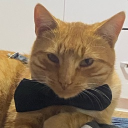 avatar baby shark🐬