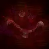 shadowdev0