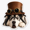 kuzito_634