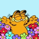 garfieldirl