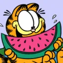 garfieldirl